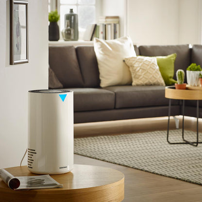 Soehnle Airfresh Clean 300 Air Purifier S68094